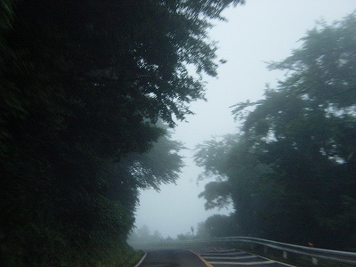 DSC00640.jpg