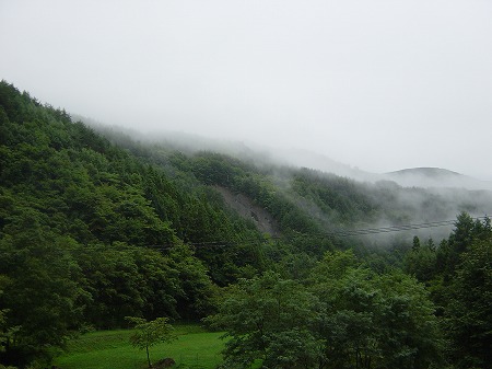 DSC00787.jpg