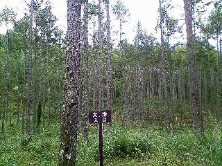 NEC_0239.jpg