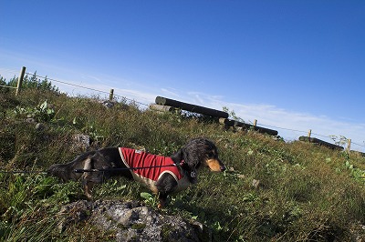 PICT0071-01.jpg