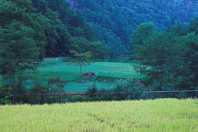 PICT0172-01.jpg